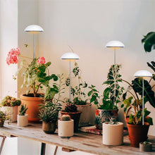 Load image into Gallery viewer, Plamp Umbrella luce per piante da interno regolabile
