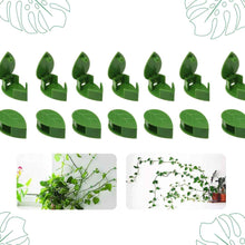 Load image into Gallery viewer, clip a forma di foglia per piante rampicanti in casa, due esempi di pothos sulla parete
