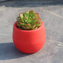 Carica l&#39;immagine nel visualizzatore di Gallery, rosso vasi colorati per piccole piante succulente
