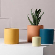 Load image into Gallery viewer, vasi in ceramica colorata con piante da interno, giallo, ottanio, arancione e verde lime
