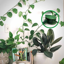 Load image into Gallery viewer, Leafy, the plant climbing wall clips
