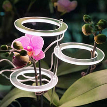 Carica l&#39;immagine nel visualizzatore di Gallery, PLAMP, la lampada per piante che arreda con stile
