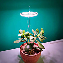 Load image into Gallery viewer, luce per crescita piante anello led 
