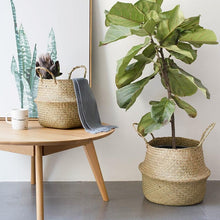Load image into Gallery viewer, soggiorno con 2 ceste per piante stile vimini grande e piccola, portaoggetti e coprivaso che contiene un Ficus Lyrata
